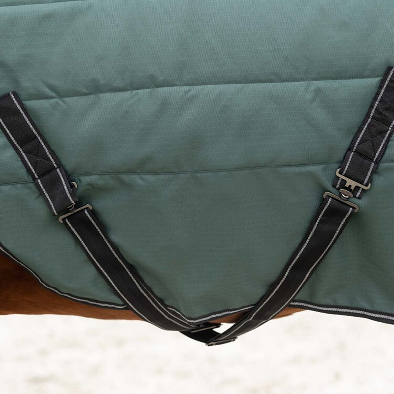 QHP Stable Rug Avélie 200g - Jungle Green-4