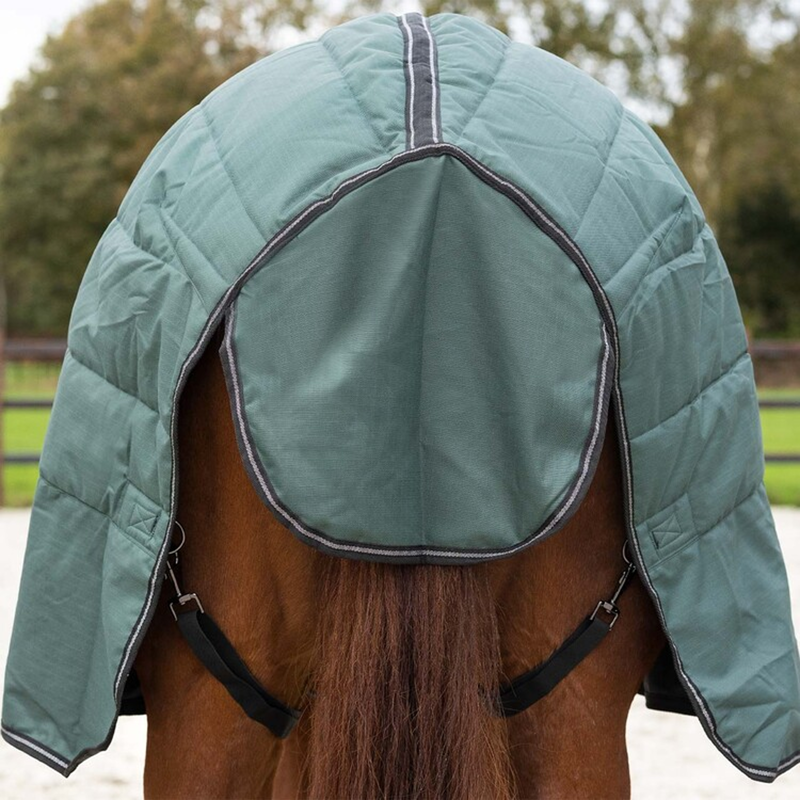 QHP Stable Rug Avélie 200g - Jungle Green-5