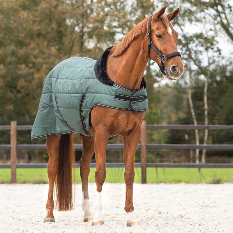 QHP Stable Rug Avélie 200g - Jungle Green-1