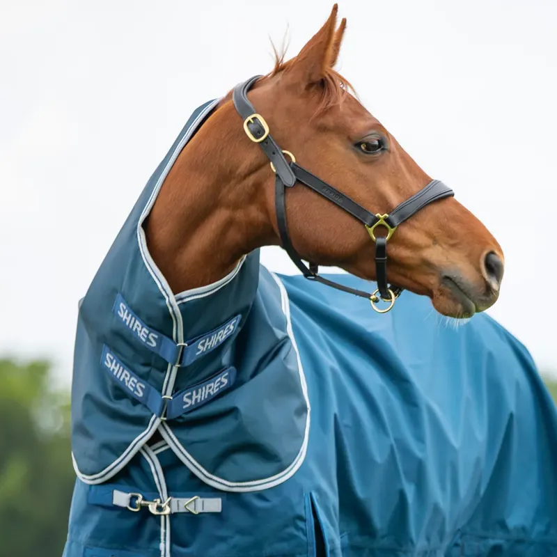 Shires Highlander Original 50 Turnout Rug Neck Cover - Ocean
