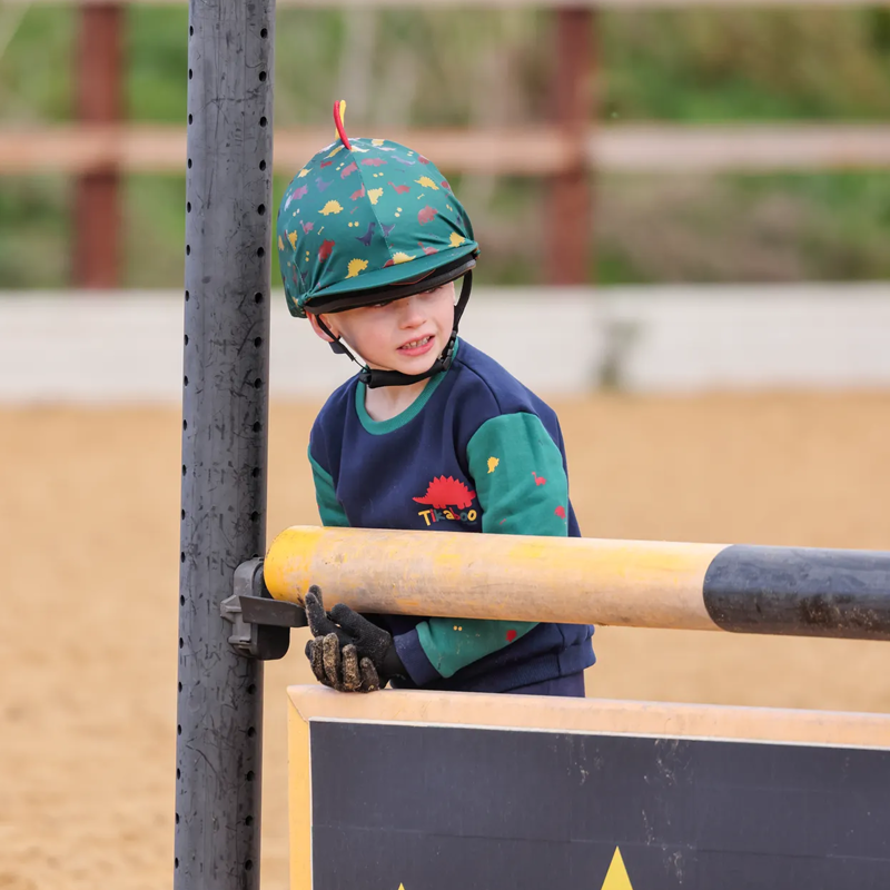 Shires Tikaboo Sweatshirt - Dinosaur-1