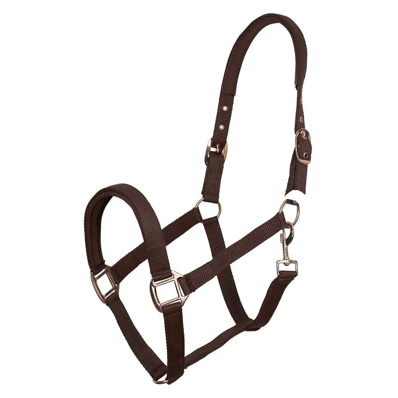 Imperial Riding IRHClassic Sport Headcollar - Walnut