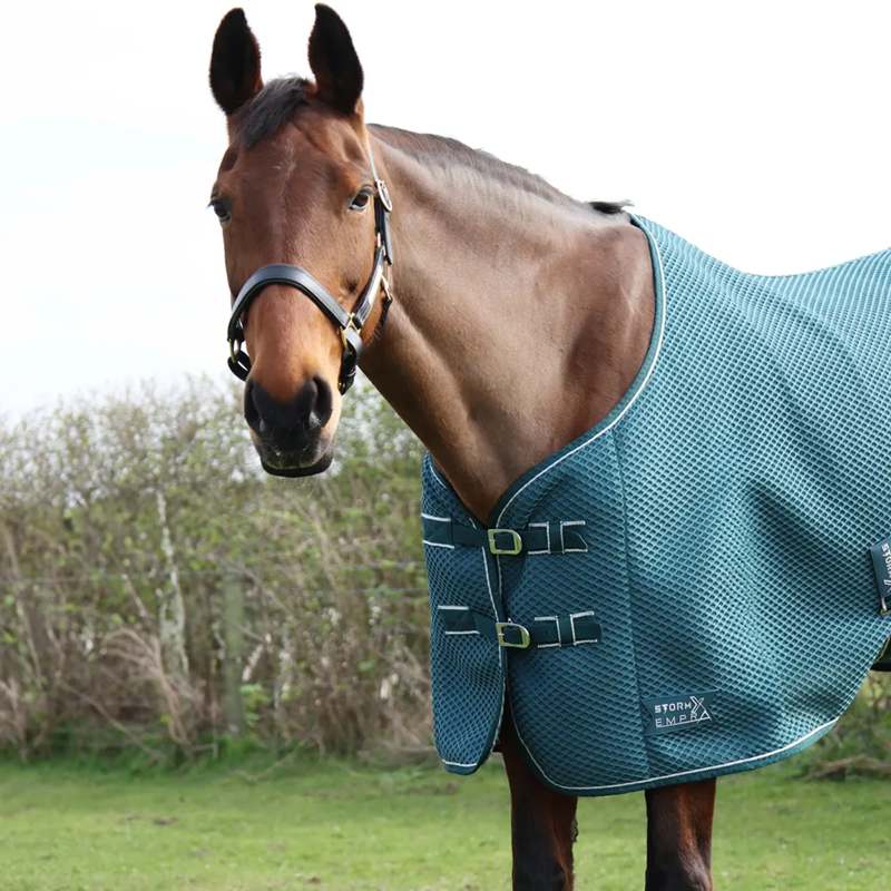 Hy StormX Empra AirFlex 3D Rug - Teal-1