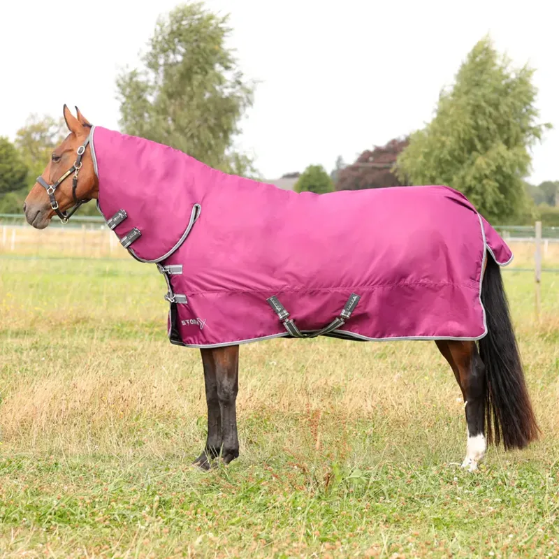 Hy StormX Empra 200g Combi Turnout Rug - Purple