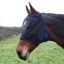 Hy Equestrian Mesh Half Mask Without Ears - Black/Navy