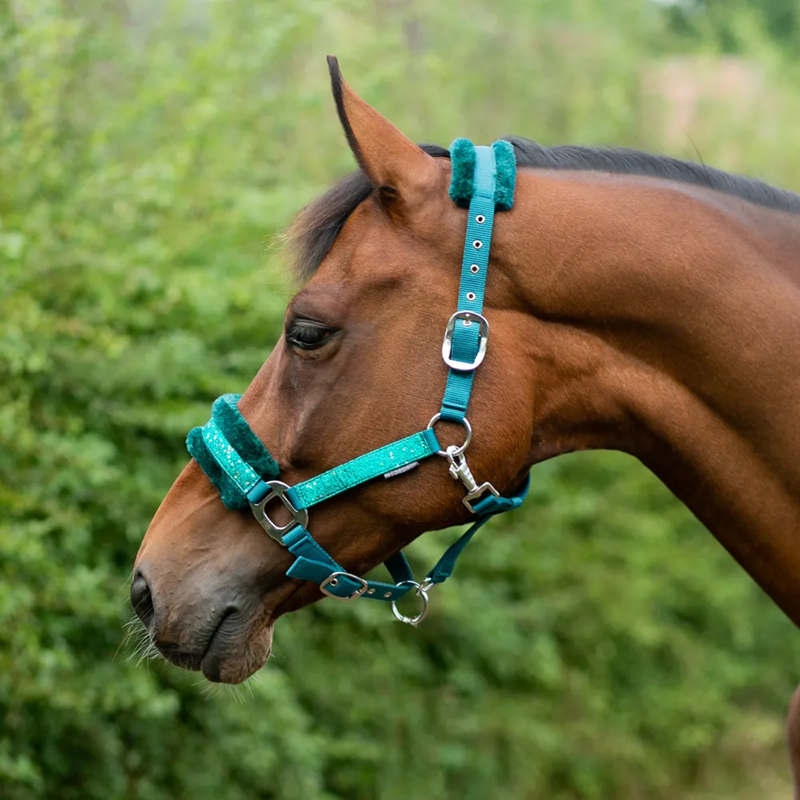 Hy Equestrian Dazzle Head Collar - Alpine Green-1