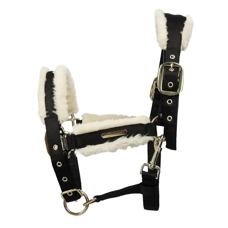 Coldstream Langlee Luxury Headcollar And Leadrope - Black