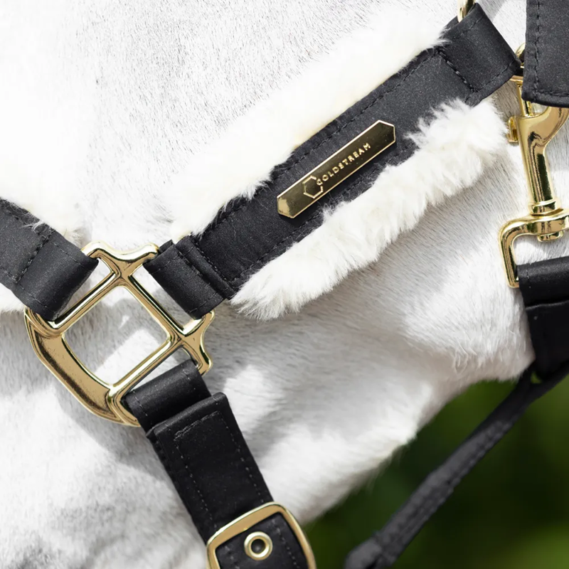 Coldstream Langlee Luxury Headcollar And Leadrope - Black-2
