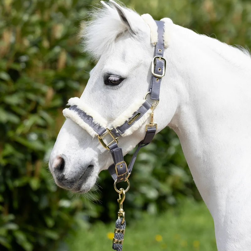 Coldstream Langlee Luxury Headcollar And Leadrope - Grey-1