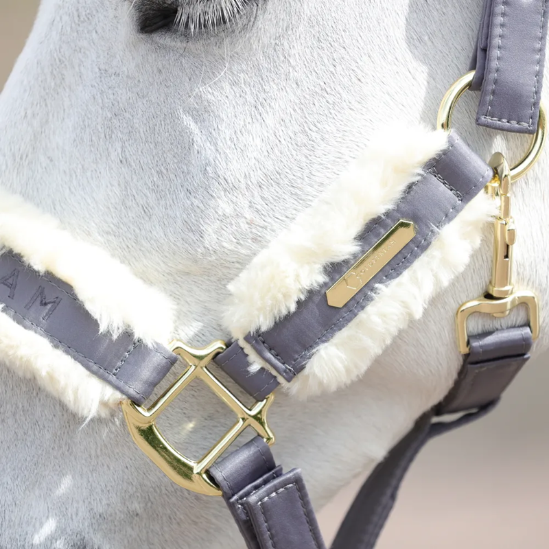 Coldstream Langlee Luxury Headcollar And Leadrope - Grey-2