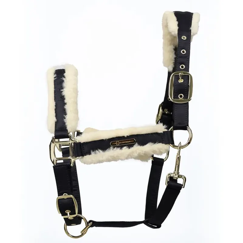Coldstream Langlee Luxury Headcollar And Leadrope - Navy
