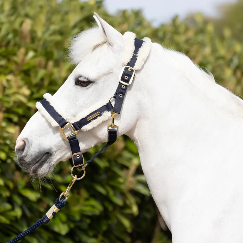 Coldstream Langlee Luxury Headcollar And Leadrope - Navy-1