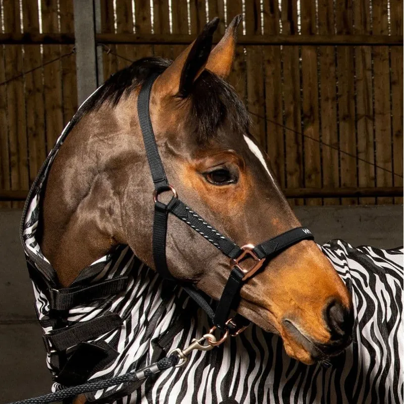 John Whitaker Bradshaw Headcollar - Black