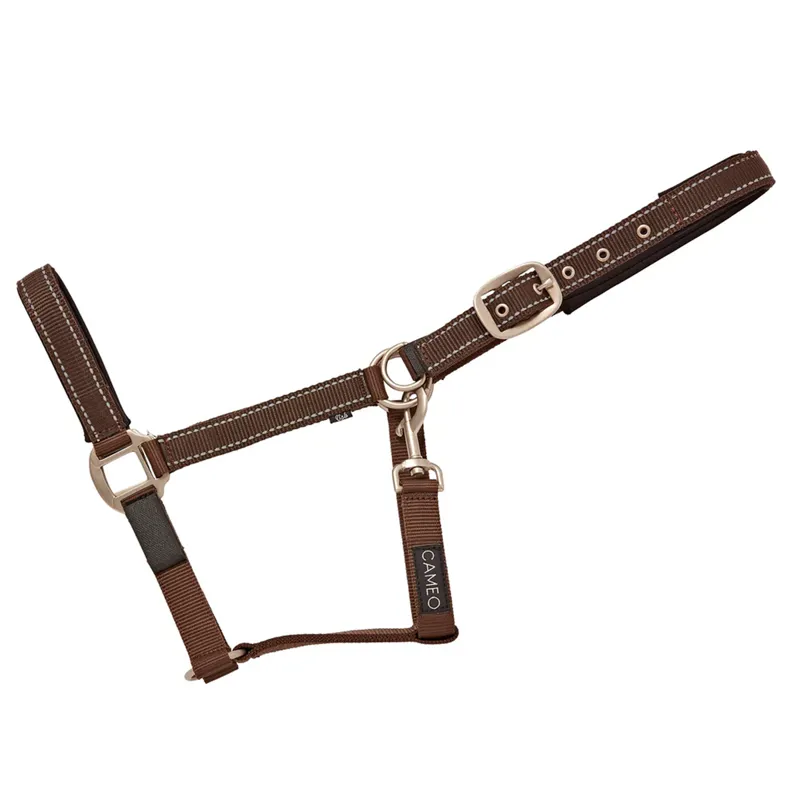 Cameo Fieldsafe Headcollar - Brown/Reflective