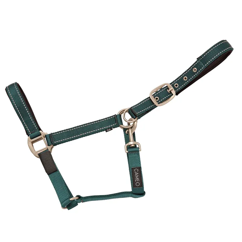 Cameo Fieldsafe Headcollar - Hunter Green/Reflective