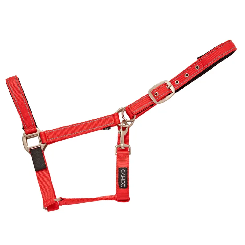 Cameo Fieldsafe Headcollar - Red/Reflective