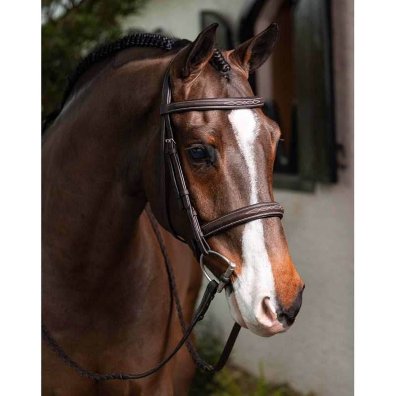 LeMieux Stitched Hunter Bridle with Laced Reins - Havana/Silver-1