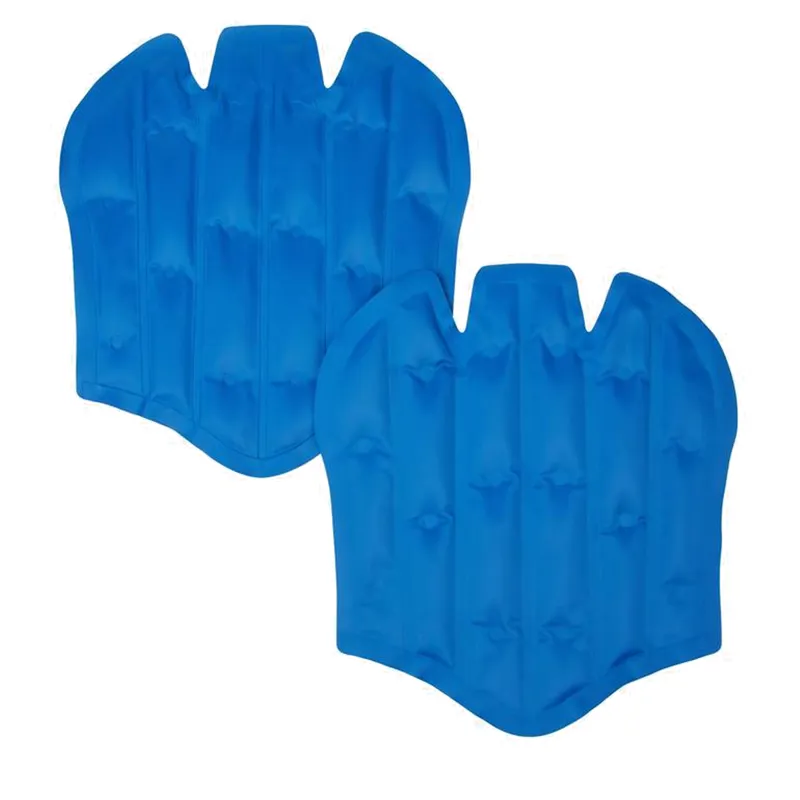 LeMieux ProIce Freeze Boots Gel Packs