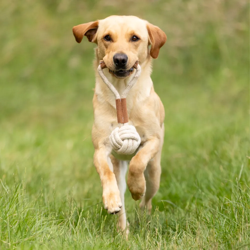 Benji And Flo Tug 'n' Play Toys - Rope Ball-1