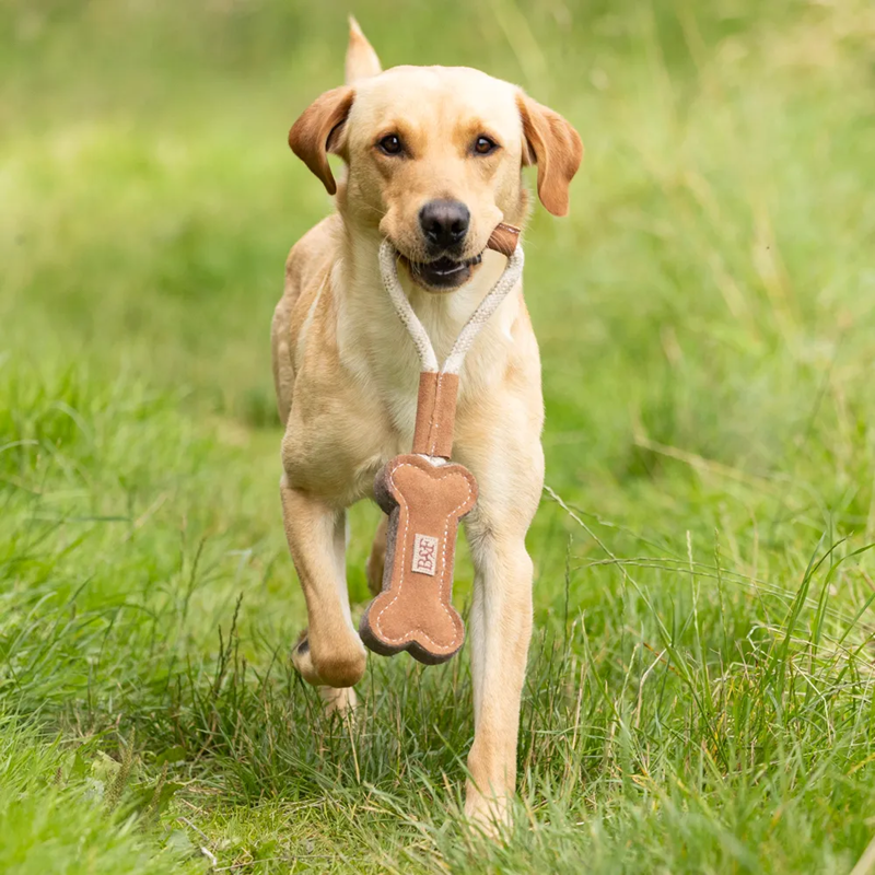 Benji And Flo Tug 'n' Play Toys - Rope with Bone-1