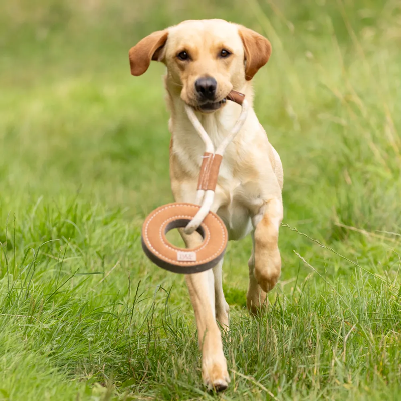 Benji And Flo Tug 'n' Play Toys - Rope with Ring-1