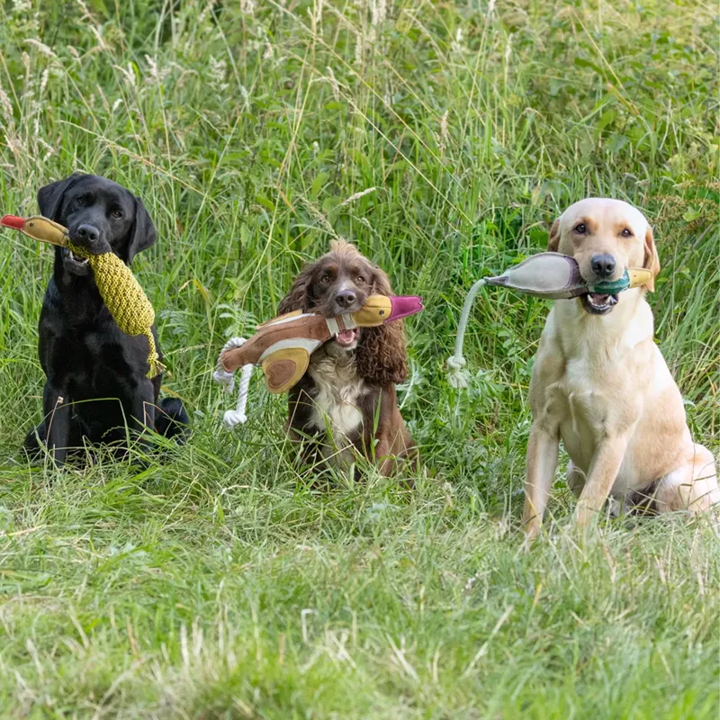 Benji And Flo Country Dog Toys - Gander the Goose-1