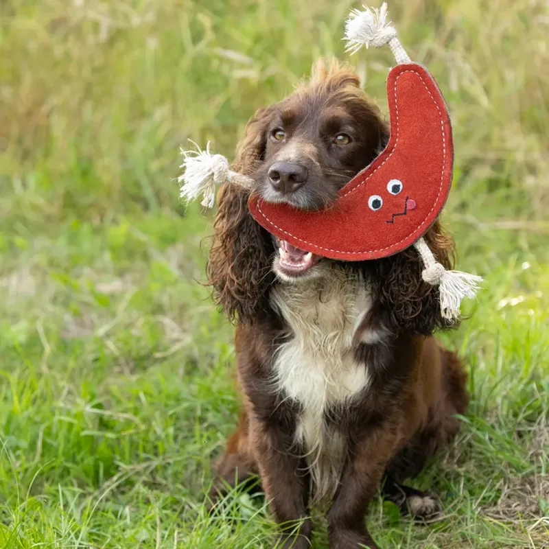 Benji And Flo Crazy Faces Dog Toys - Boomerang-1