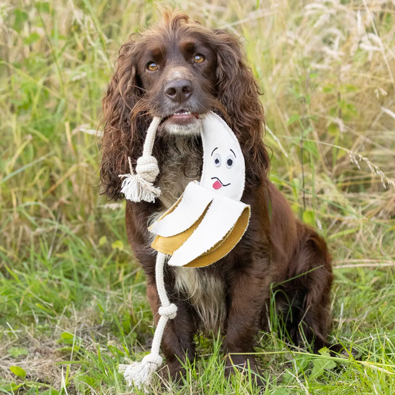 Benji And Flo Crazy Faces Dog Toys - Go Bananas-1