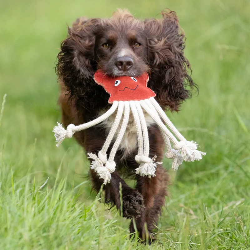 Benji And Flo Crazy Faces Dog Toys - Inky the Octopus-1