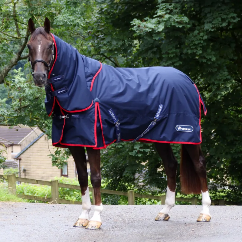 John Whitaker Rastrick V2 Turnout Rug Detachable Neck 250g - Navy