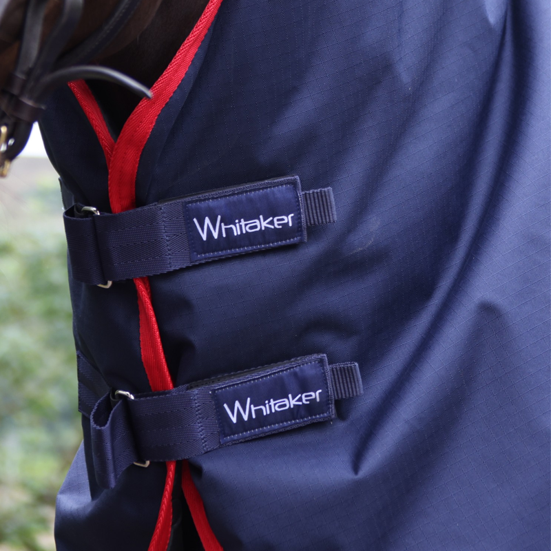 John Whitaker Rastrick V2 Turnout Rug Detachable Neck 250g - Navy-5