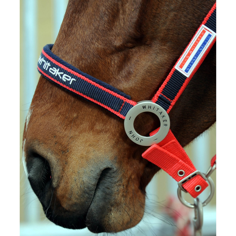John Whitaker Padded Fleece Head Collar - Red/Navy-1