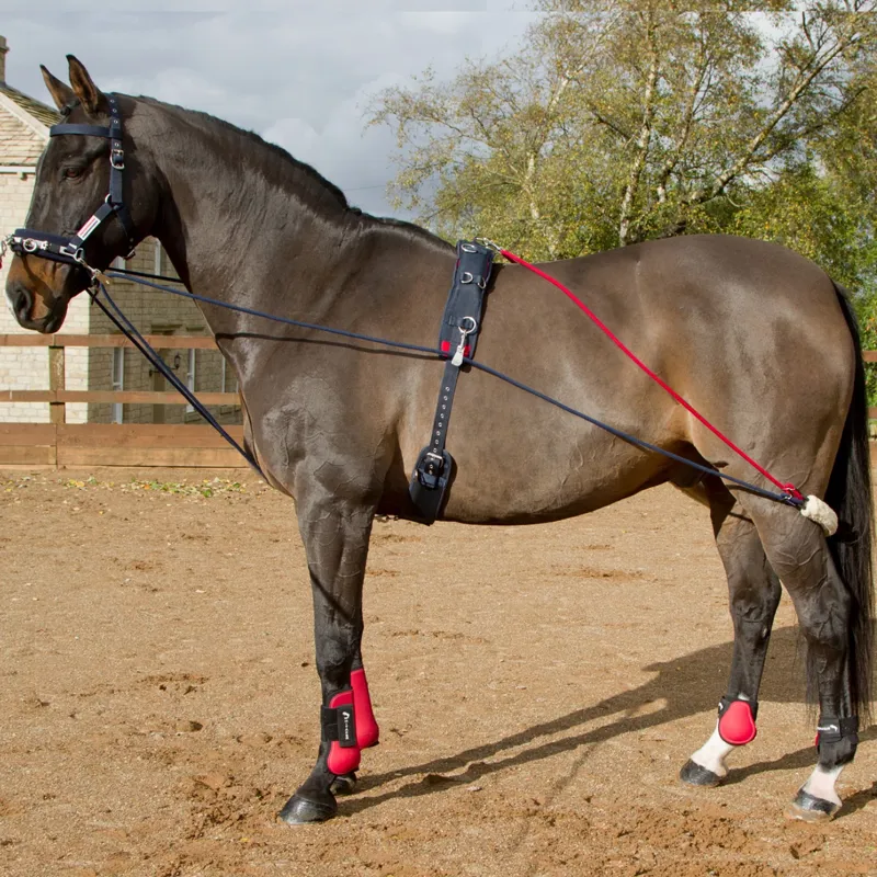 John Whitaker Training Aid