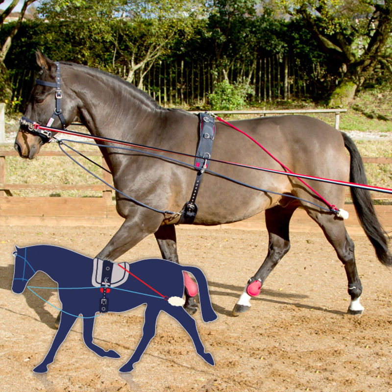 John Whitaker Training Aid-1