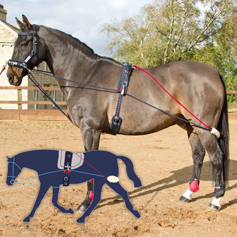 John Whitaker Training Aid-3