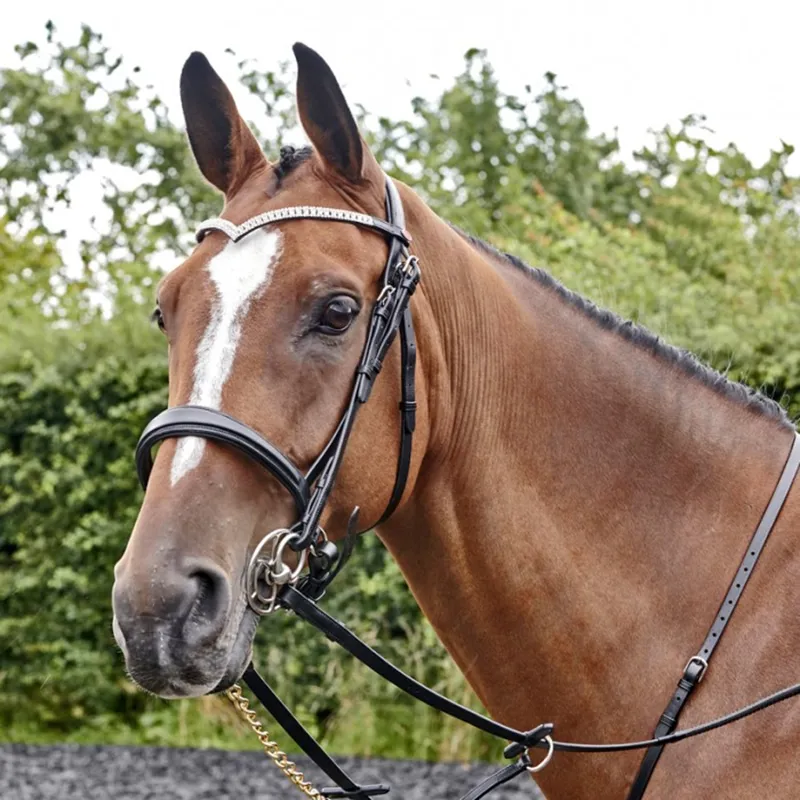John Whitaker Lynton Snaffle Bridle - Black-5