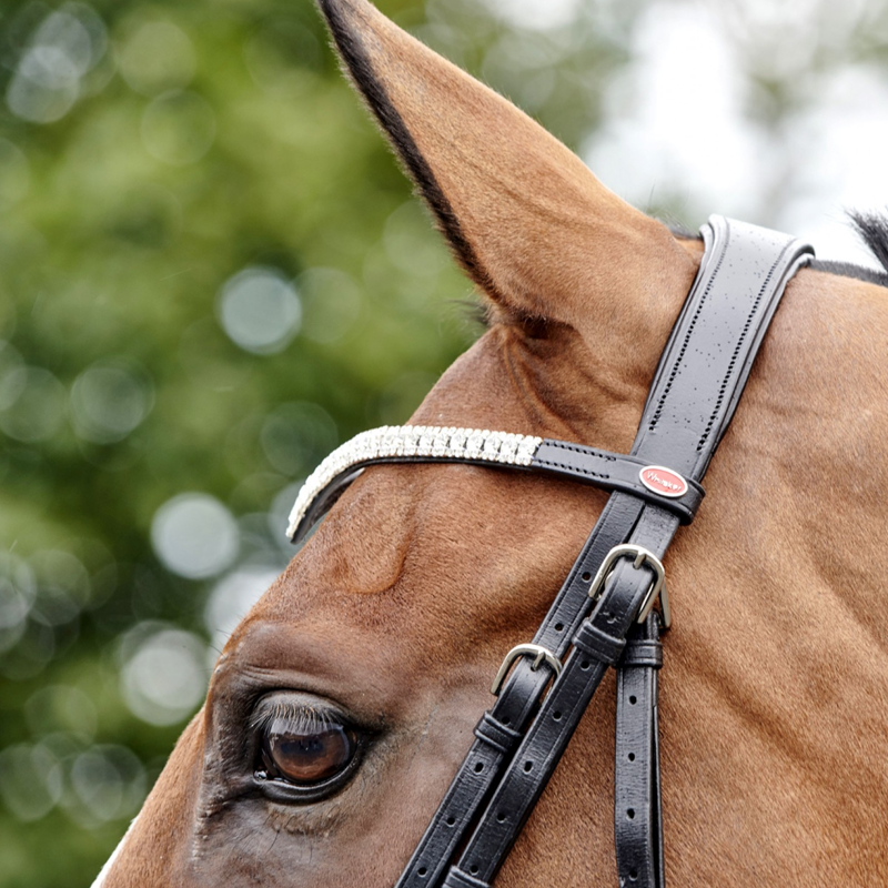 John Whitaker Lynton Snaffle Bridle - Black-3