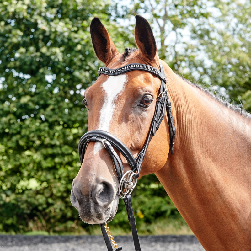 John Whitaker Lynton Flash Bridle - Black-2
