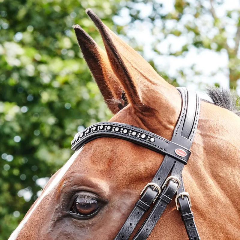 John Whitaker Lynton Flash Bridle - Havana-1