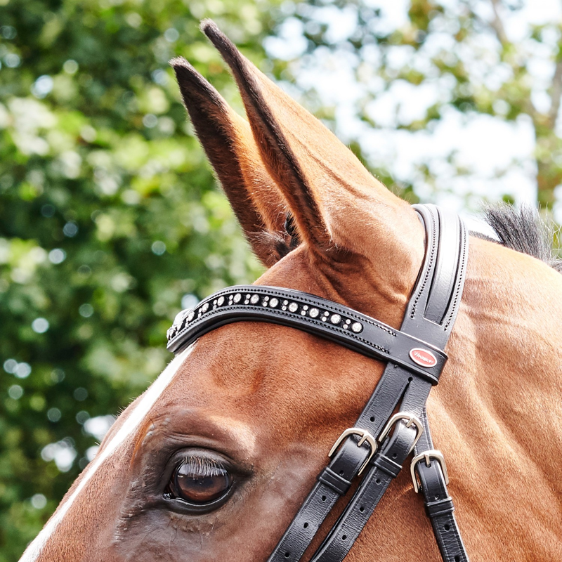John Whitaker Lynton Flash Bridle - Black-1