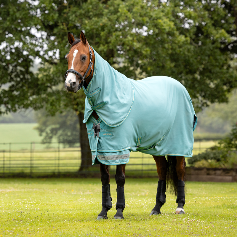 LeMieux Arika Ripstop 0g Turnout Rug - Lagoon-2
