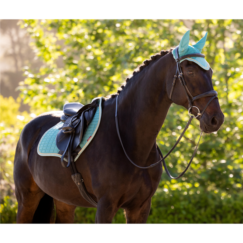 LeMieux Classic Fly Hood - Lagoon-3