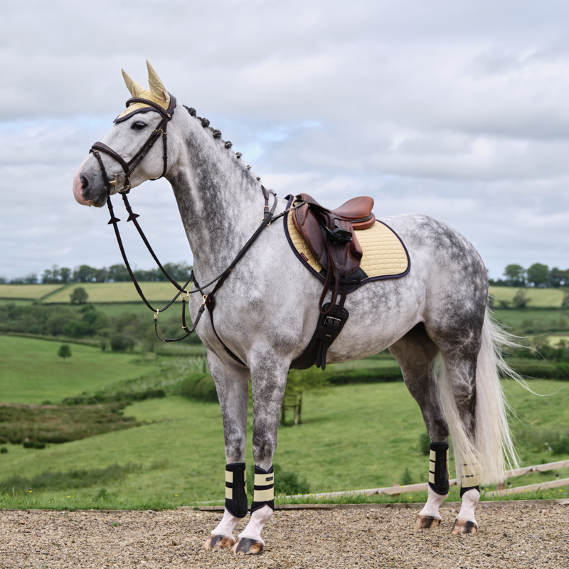 LeMieux Classic Fly Hood - Mimosa-4