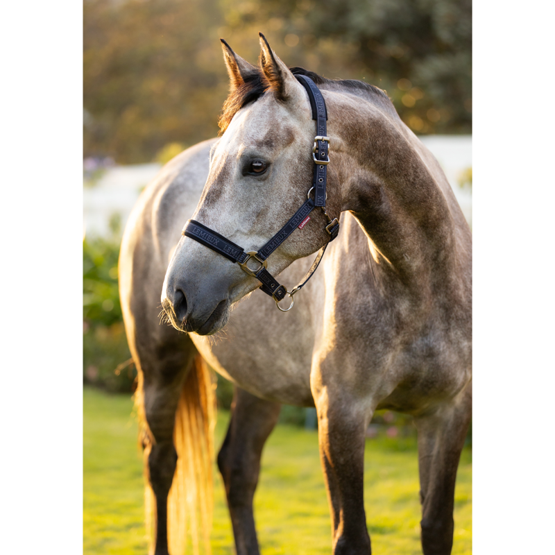 LeMieux Logo Headcollar - Navy-2