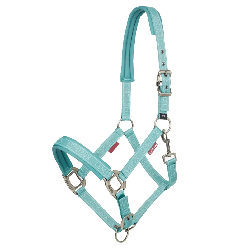 LeMieux Logo Headcollar - Lagoon