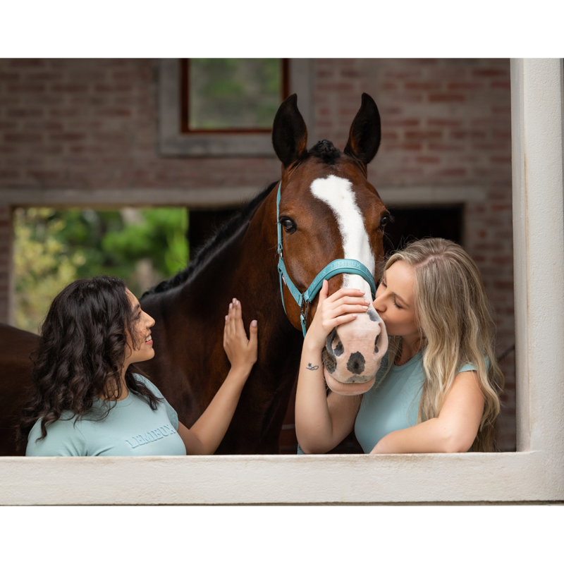 LeMieux Logo Headcollar - Lagoon-4
