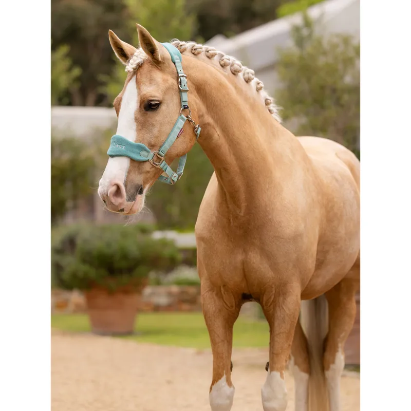 LeMieux Vogue Headcollar And Leadrope - Lagoon-3