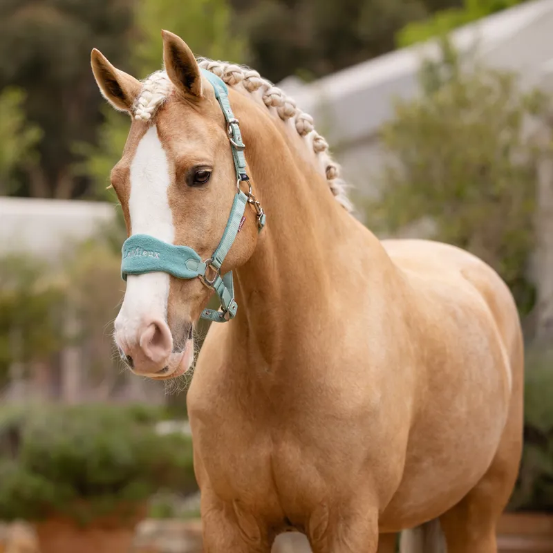 LeMieux Vogue Headcollar And Leadrope - Lagoon-1