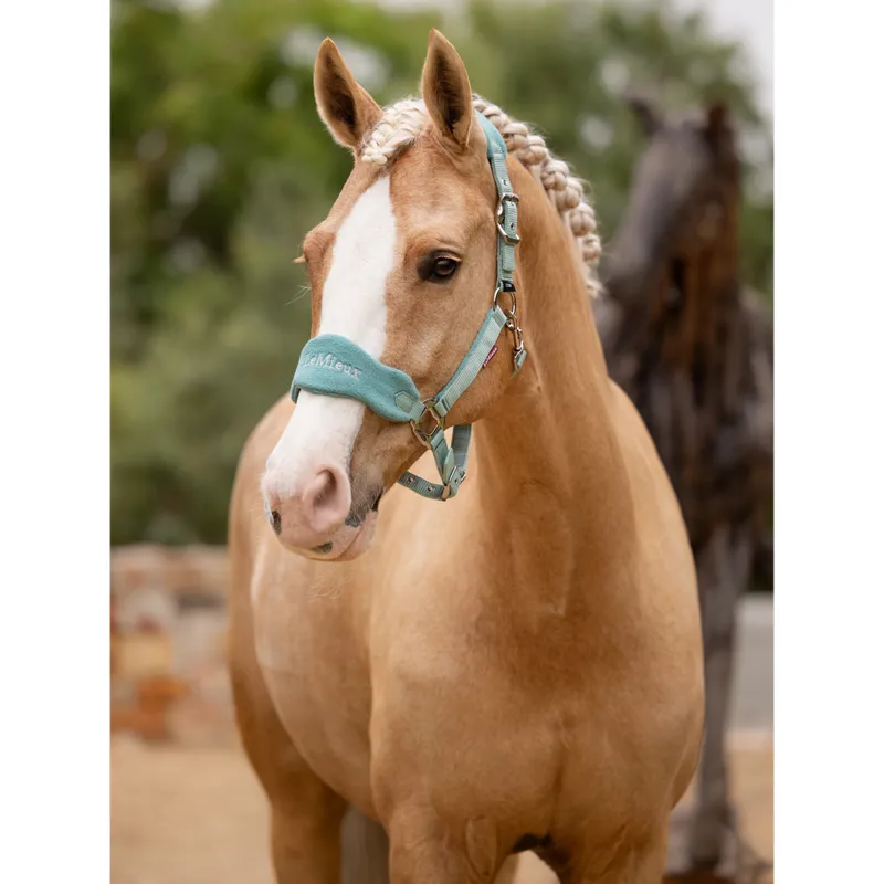LeMieux Vogue Headcollar And Leadrope - Lagoon-2