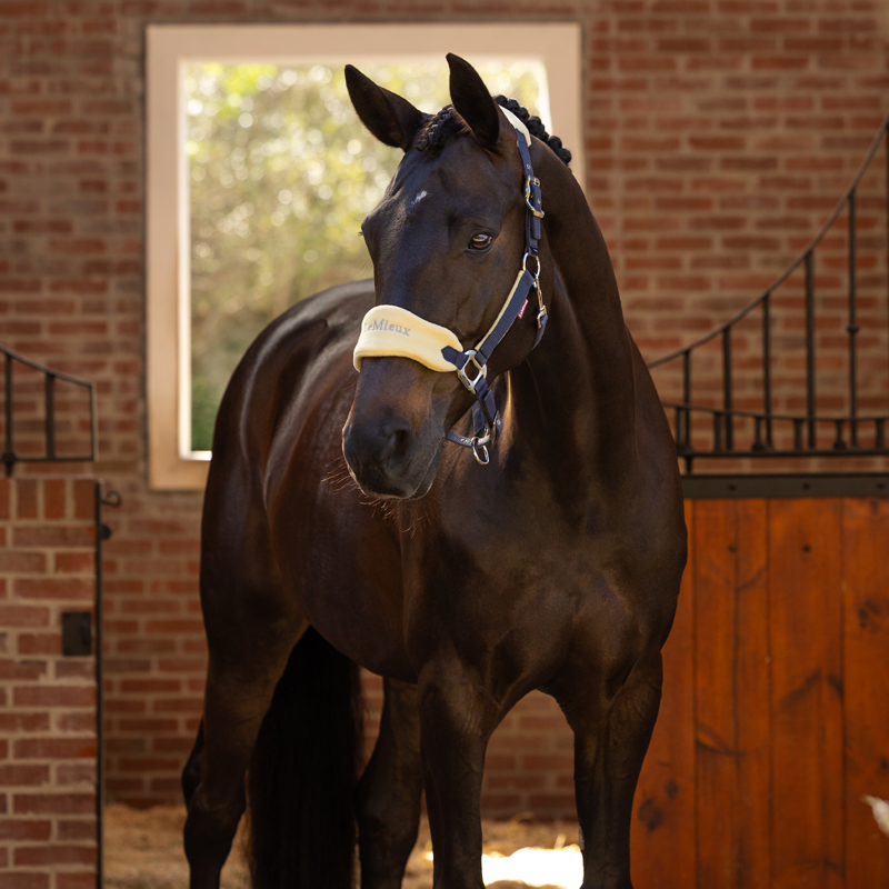 LeMieux Vogue Headcollar And Leadrope - Mimosa-2